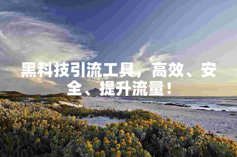 黑科技引流工具，高效、安全、提升流量！