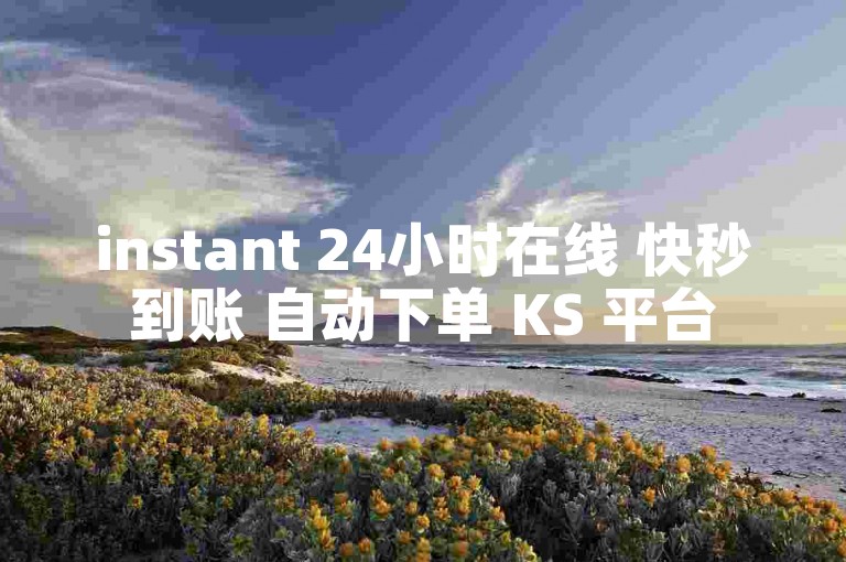 instant 24小时在线 快秒到账 自动下单 KS 平台
