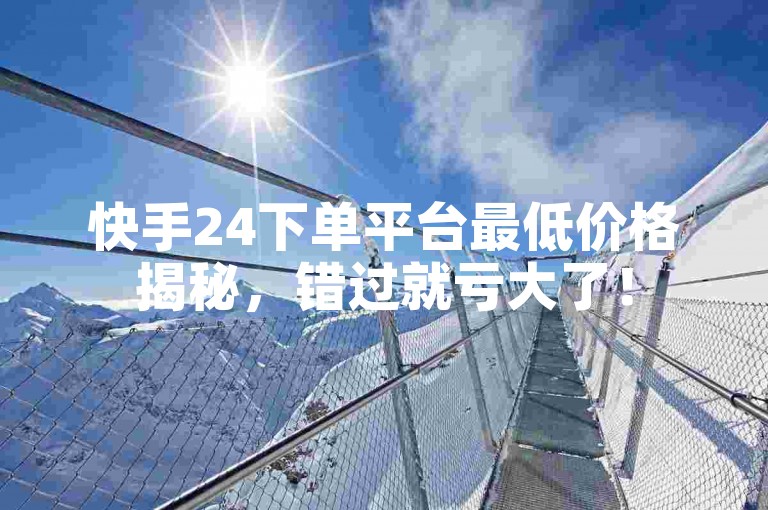 快手24下单平台最低价格揭秘，错过就亏大了！