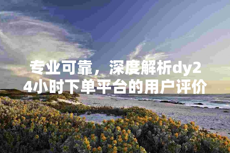 专业可靠，深度解析dy24小时下单平台的用户评价与优势