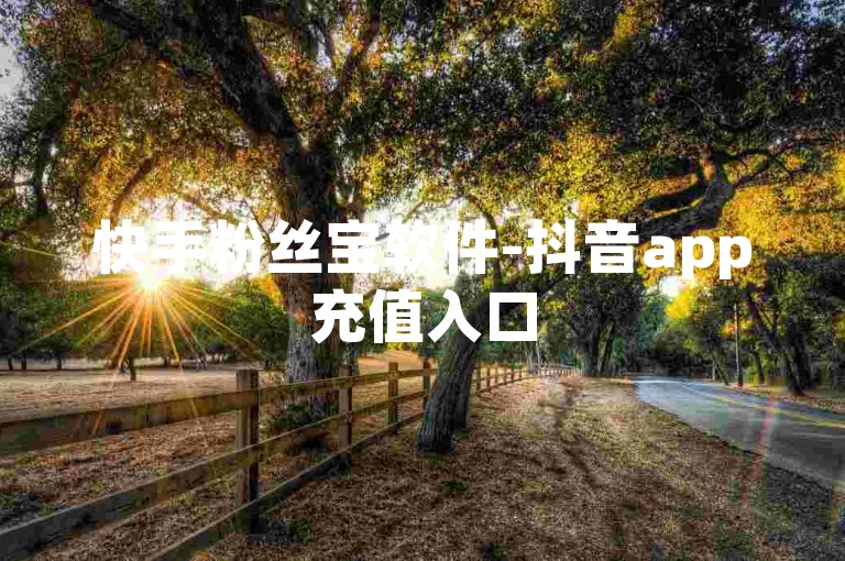 快手粉丝宝软件-抖音app充值入口