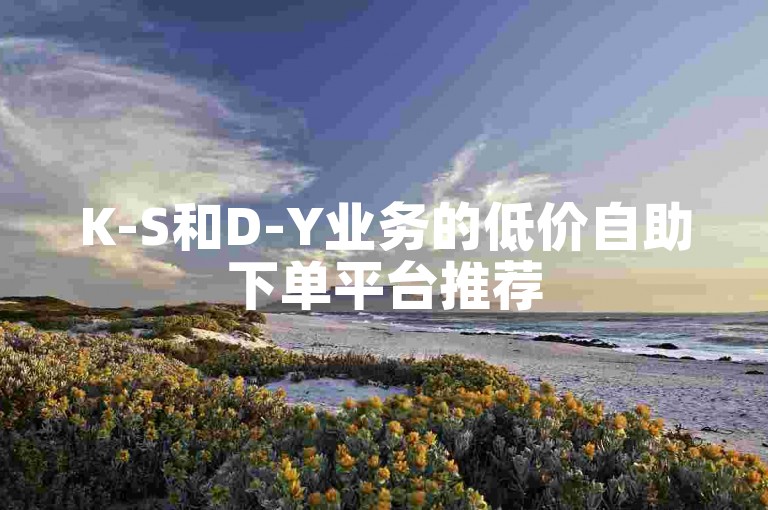K-S和D-Y业务的低价自助下单平台推荐