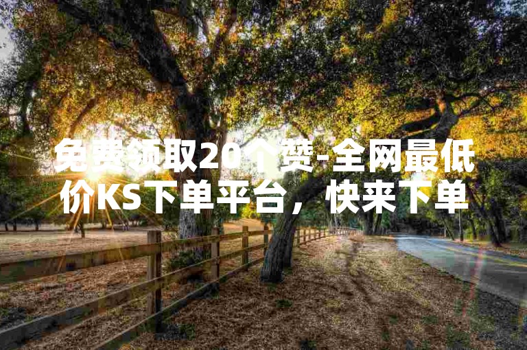免费领取20个赞-全网最低价KS下单平台，快来下单吧！