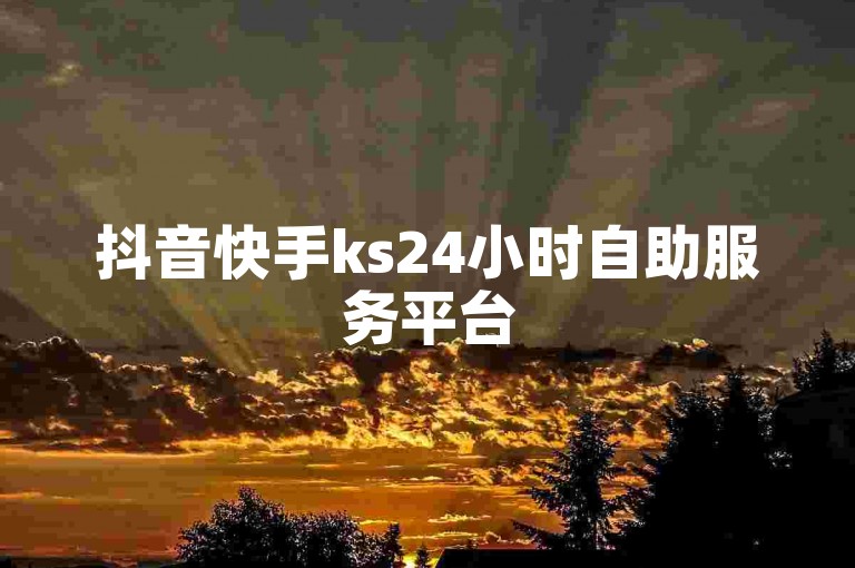 抖音快手ks24小时自助服务平台