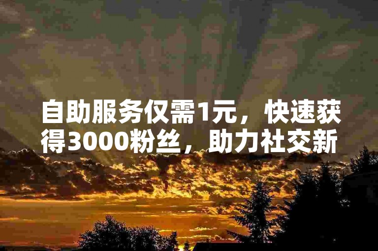 自助服务仅需1元，快速获得3000粉丝，助力社交新时代——全网业务自助下单平台卡盟