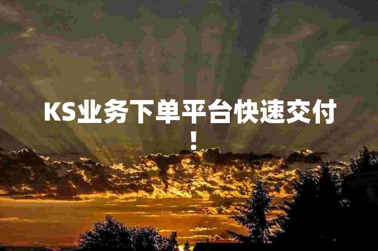 KS业务下单平台快速交付！