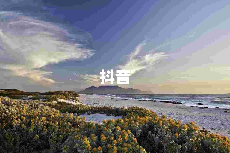 抖音500粉和快手赞的自助下单平台