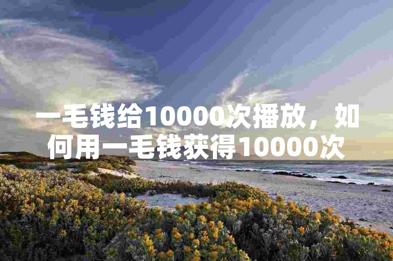一毛钱给10000次播放，如何用一毛钱获得10000次播放？新人必备！