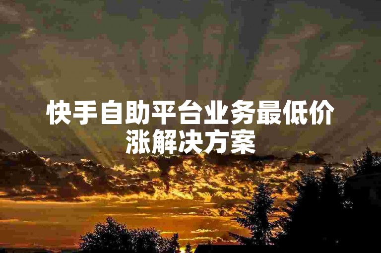 快手自助平台业务最低价涨解决方案