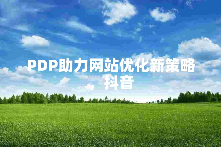 PDP助力网站优化新策略，抖音50赞自助24小时