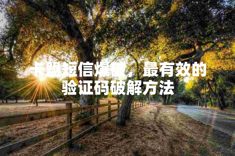 卡盟短信爆破，最有效的验证码破解方法