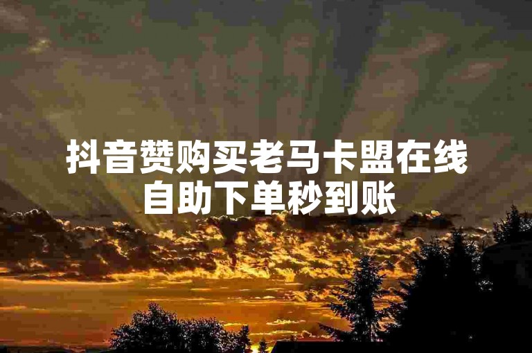 抖音赞购买老马卡盟在线自助下单秒到账