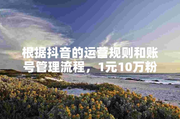 根据抖音的运营规则和账号管理流程，1元10万粉的平台通常需要通过粉丝互动、内容创作、广告投放等方式来获取粉丝。账号管理包括审核、账号设置、粉丝管理等，需要确保账号符合抖音的运营规范。建议用户在使用抖音时注意账号安全，遵守平台规则，以获得稳定的粉丝数量。