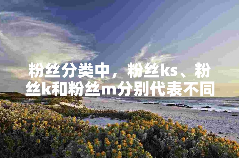 粉丝分类中，粉丝ks、粉丝k和粉丝m分别代表不同的粉丝群体，其中粉丝k和粉丝m可能与粉丝ks有特定的关联或关系。