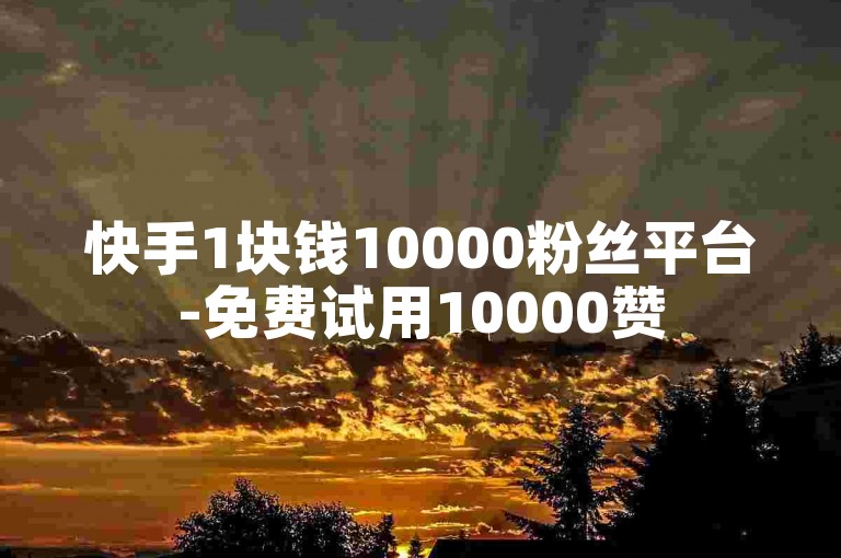 快手1块钱10000粉丝平台-免费试用10000赞
