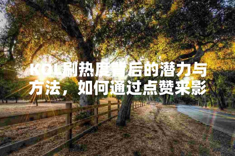 KOL刷热度背后的潜力与方法，如何通过点赞来影响你的影响力