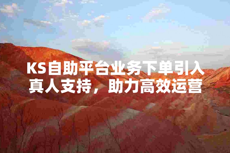 KS自助平台业务下单引入真人支持，助力高效运营。