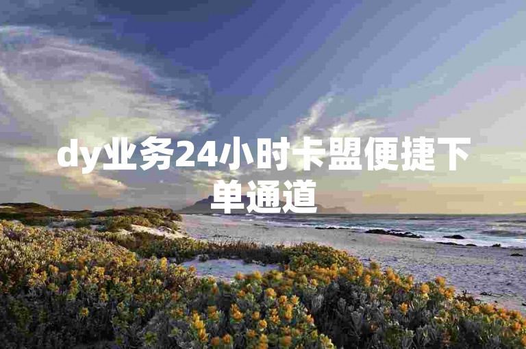 dy业务24小时卡盟便捷下单通道