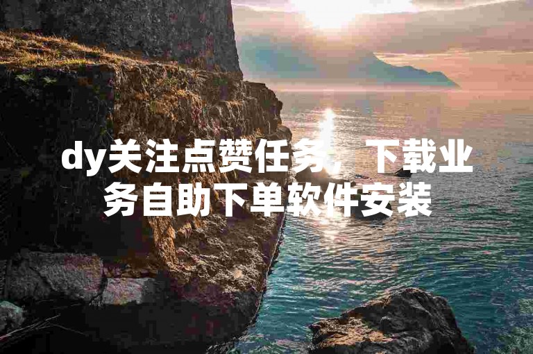 dy关注点赞任务，下载业务自助下单软件安装
