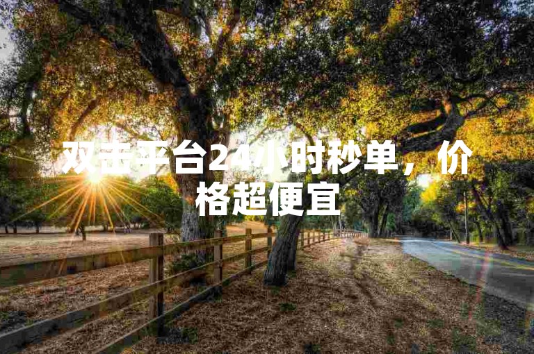 双击平台24小时秒单，价格超便宜