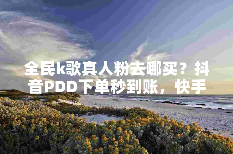 全民k歌真人粉去哪买？抖音PDD下单秒到账，快手一毛钱