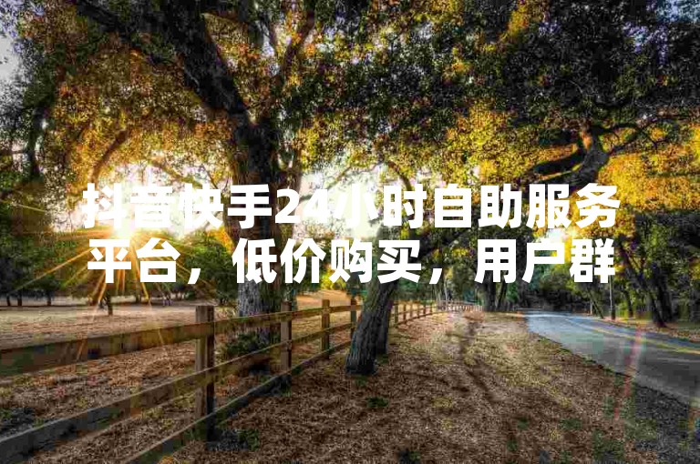 抖音快手24小时自助服务平台，低价购买，用户群体活跃
