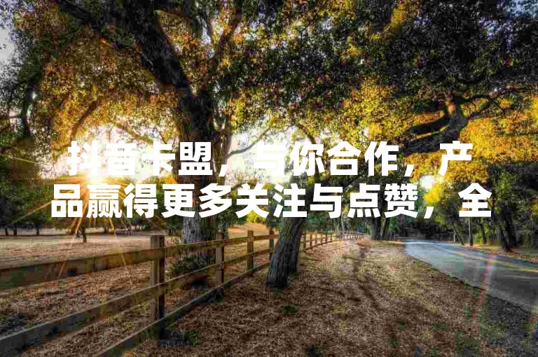 抖音卡盟，与你合作，产品赢得更多关注与点赞，全网最低价，助您一展风采！