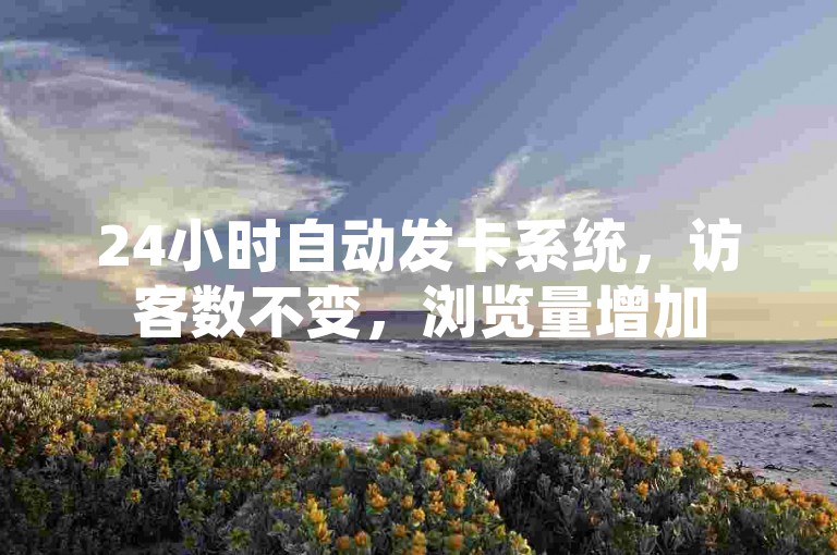 24小时自动发卡系统，访客数不变，浏览量增加