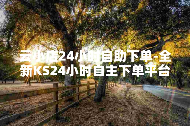 云小店24小时自助下单-全新KS24小时自主下单平台全面上线