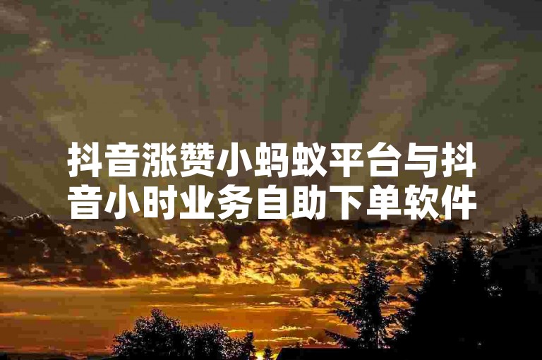 抖音涨赞小蚂蚁平台与抖音小时业务自助下单软件，用户价值驱动的便捷平台