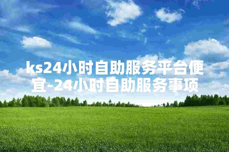 ks24小时自助服务平台便宜-24小时自助服务事项