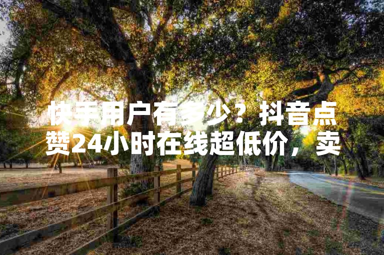 快手用户有多少？抖音点赞24小时在线超低价，卖VIP会员哪里进货？