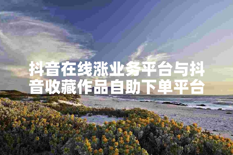 抖音在线涨业务平台与抖音收藏作品自助下单平台