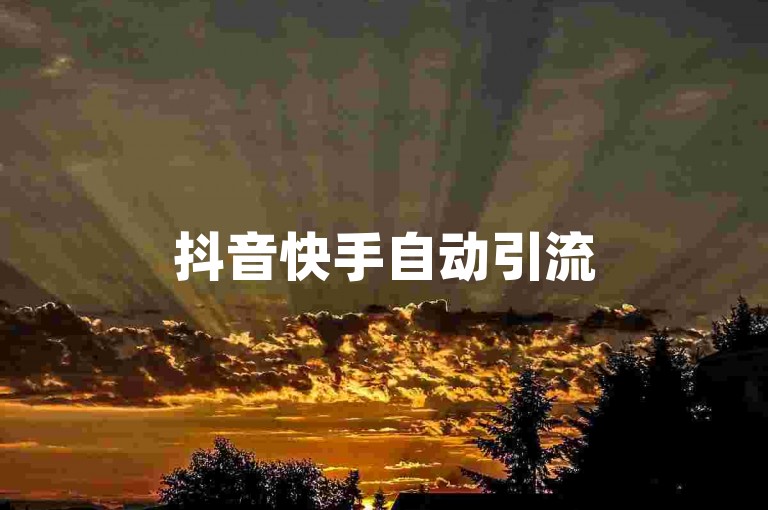 抖音快手自动引流5万人100赞，评论赞网站上，快手作品点赞自助1元100赞