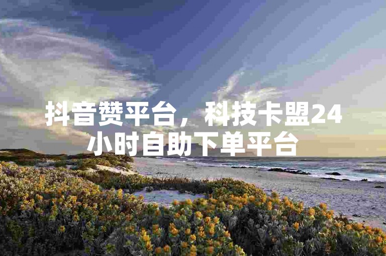 抖音赞平台，科技卡盟24小时自助下单平台