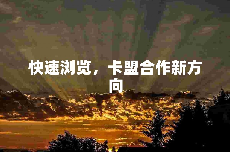 快速浏览，卡盟合作新方向