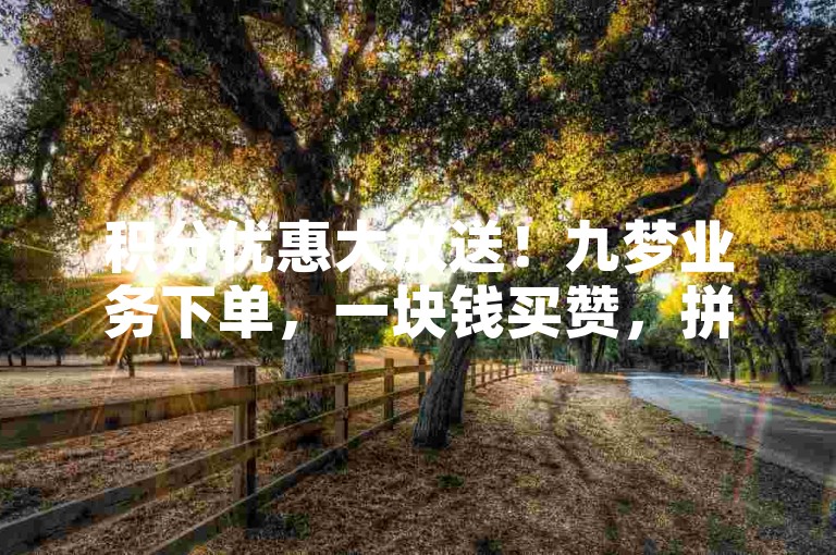 积分优惠大放送！九梦业务下单，一块钱买赞，拼多多0.01积分后面是什么？卡盟货源批发网，快来领取！