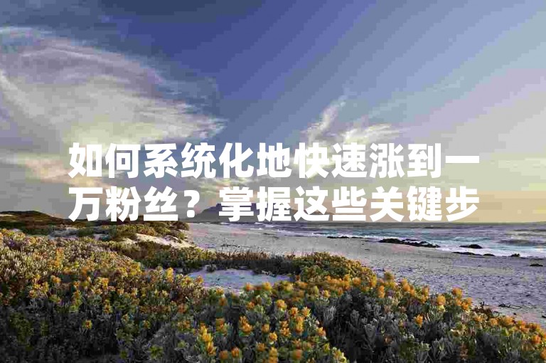 如何系统化地快速涨到一万粉丝？掌握这些关键步骤，轻松实现目标！