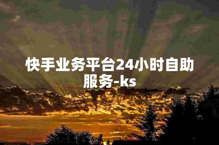 快手业务平台24小时自助服务-ks