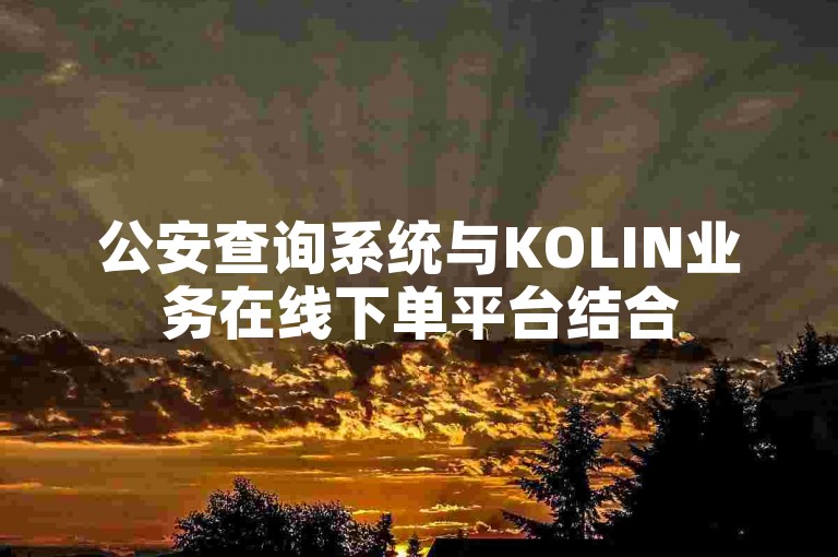 公安查询系统与KOLIN业务在线下单平台结合