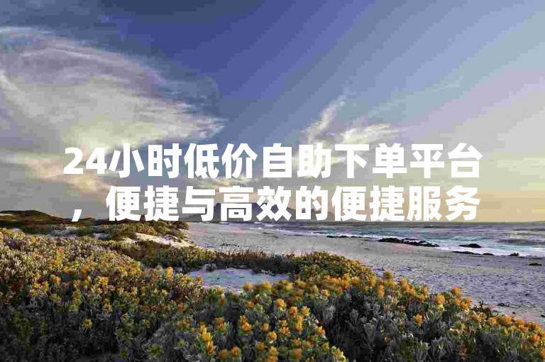 24小时低价自助下单平台，便捷与高效的便捷服务