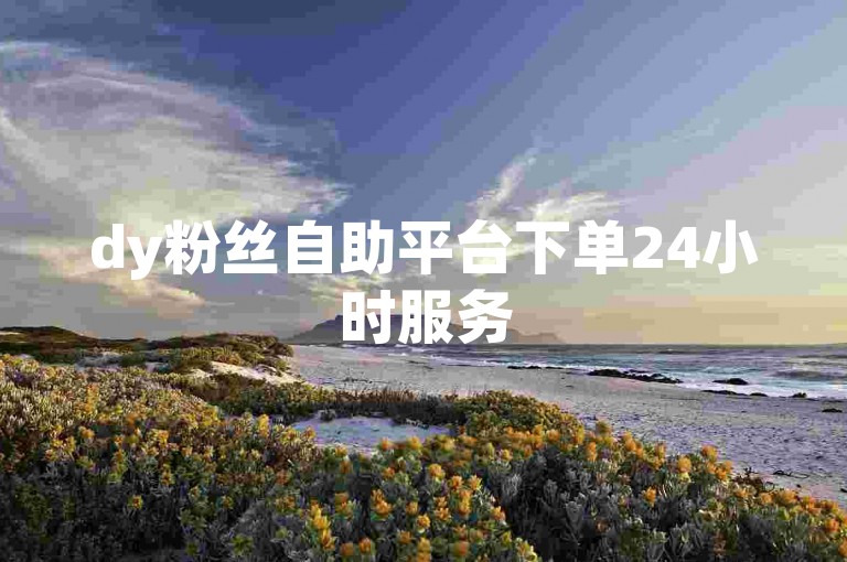 dy粉丝自助平台下单24小时服务