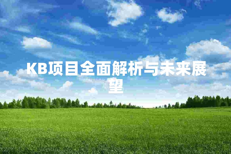 KB项目全面解析与未来展望