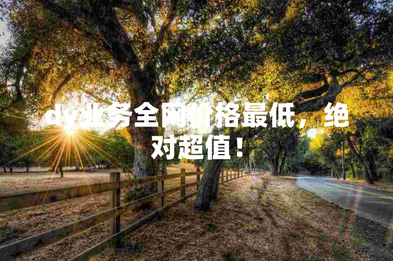 dy业务全网价格最低，绝对超值！