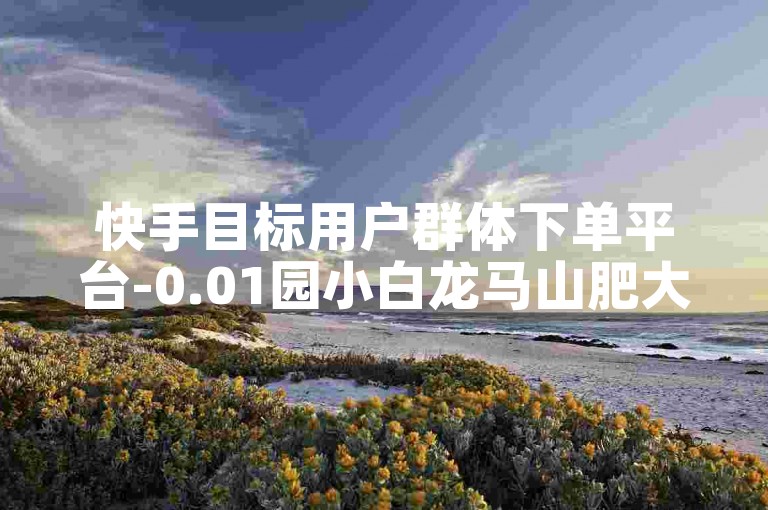 快手目标用户群体下单平台-0.01园小白龙马山肥大地房产装修网站