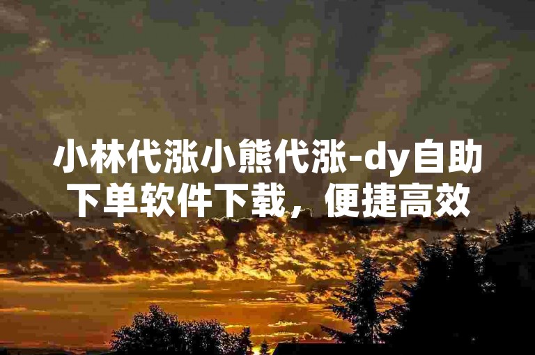 小林代涨小熊代涨-dy自助下单软件下载，便捷高效代币代涨服务