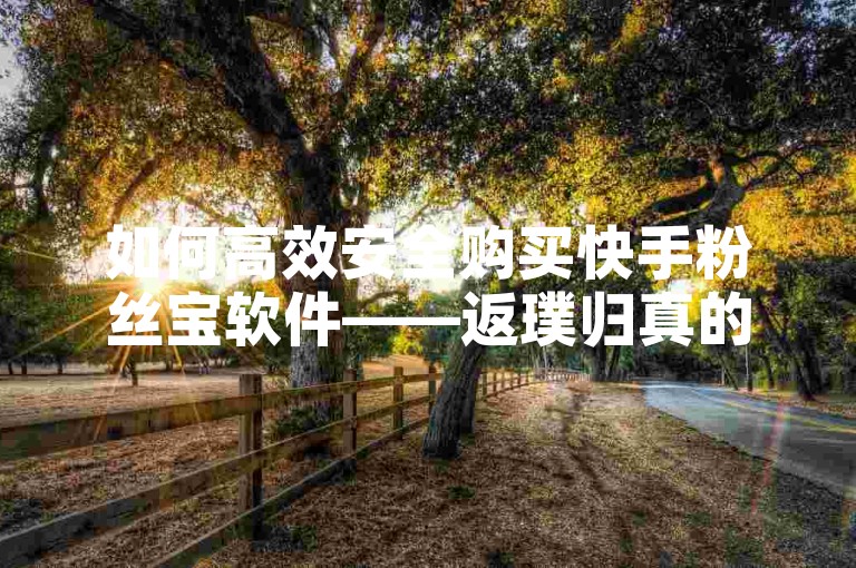 如何高效安全购买快手粉丝宝软件——返璞归真的方法，提升粉丝质量与影响力