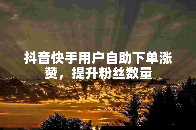 抖音快手用户自助下单涨赞，提升粉丝数量