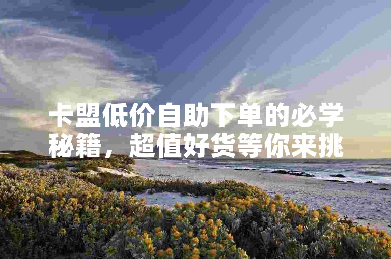 卡盟低价自助下单的必学秘籍，超值好货等你来挑选！