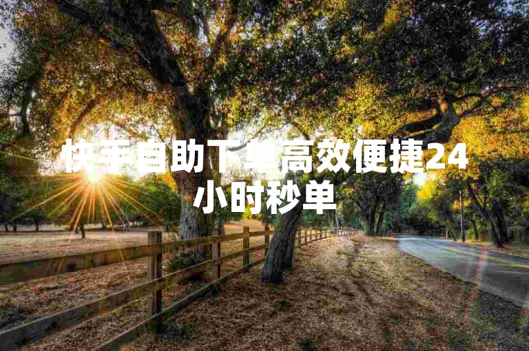 快手自助下单高效便捷24小时秒单